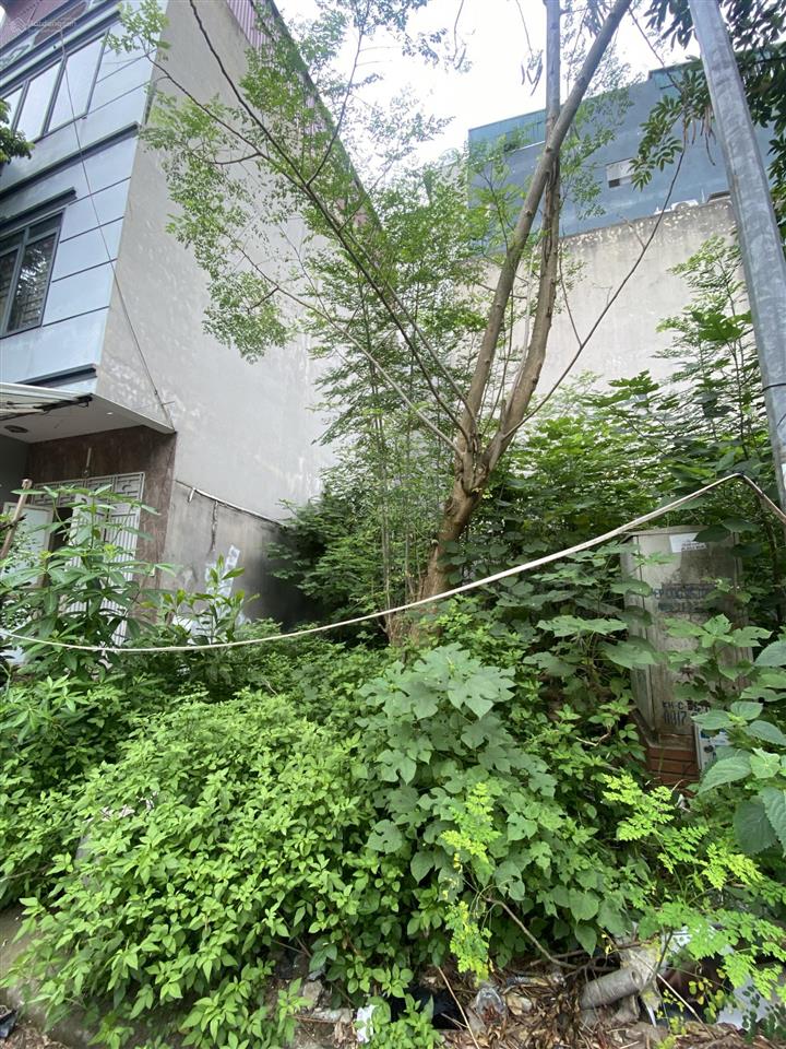 Bán mảnh đất đấu giá đối diện công viên 63m2 sổ đỏ giá hơn 12 tỷ
