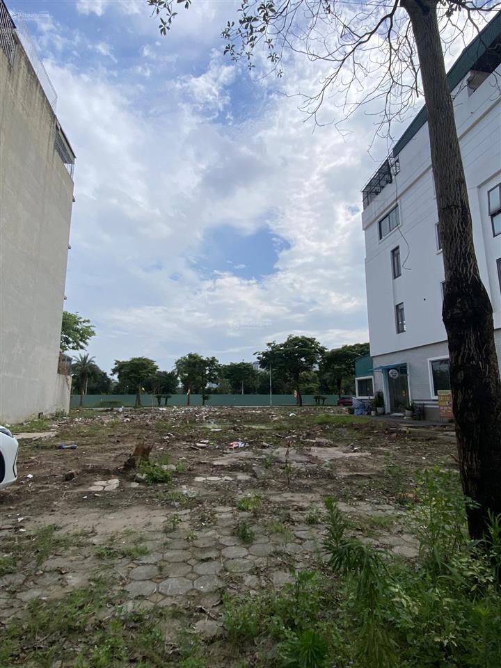 Liền kề b1.4 100m² giá 7.x tỷ