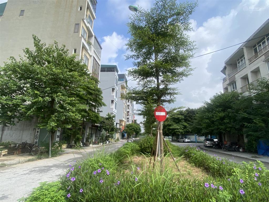 Bán mảnh đất dịch vụ 50m2, lô góc ngay chung cư mik  kinh doanh 1x tỷ
