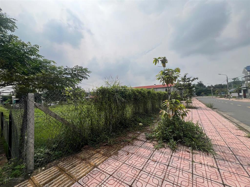 Bán đất 2 mặt tiền tại đường cây dầu  nhơn trạch 203.7m2, nhơn trạch, đồng nai