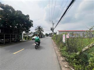 Bán đất 2 mặt tiền tại đường cây dầu  nhơn trạch, 26 triệu/m2, 203.7m2, nhơn trạch, đồng nai