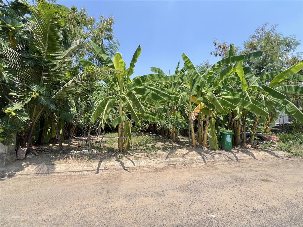 Lô đất giá quá tốt 70m2 khu phân lô vỉa hè vị trí đẹp gần khu đông tăng long chợ long trường