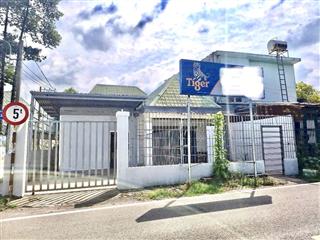 Cho thuê nhà mặt tiền tam đa 113m² xe hơi đậu trong sân rộng rãi thoáng mát giá tốt