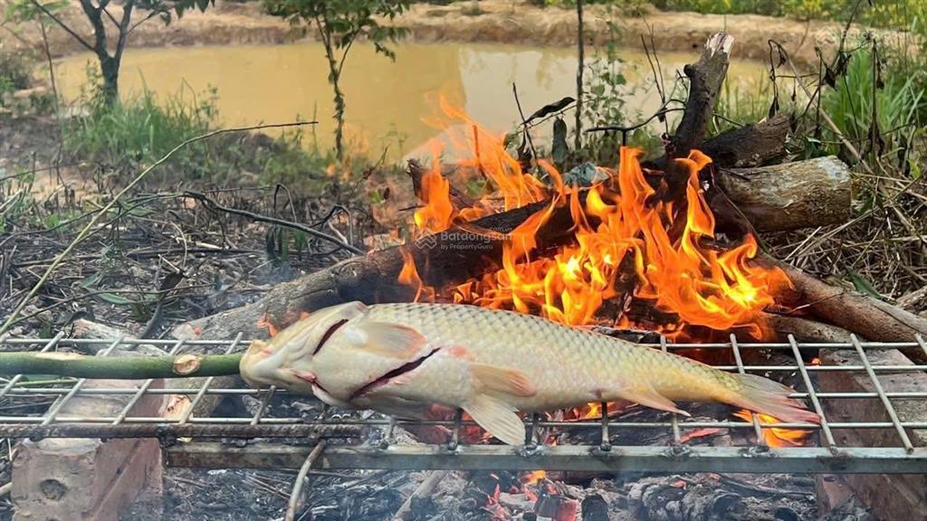 Bán khu nghỉ dưỡng trang trại ao vườn tuyệt đỉnh giá rẻ tại phú nam an cũ (hoà phú mới tp hà nội)