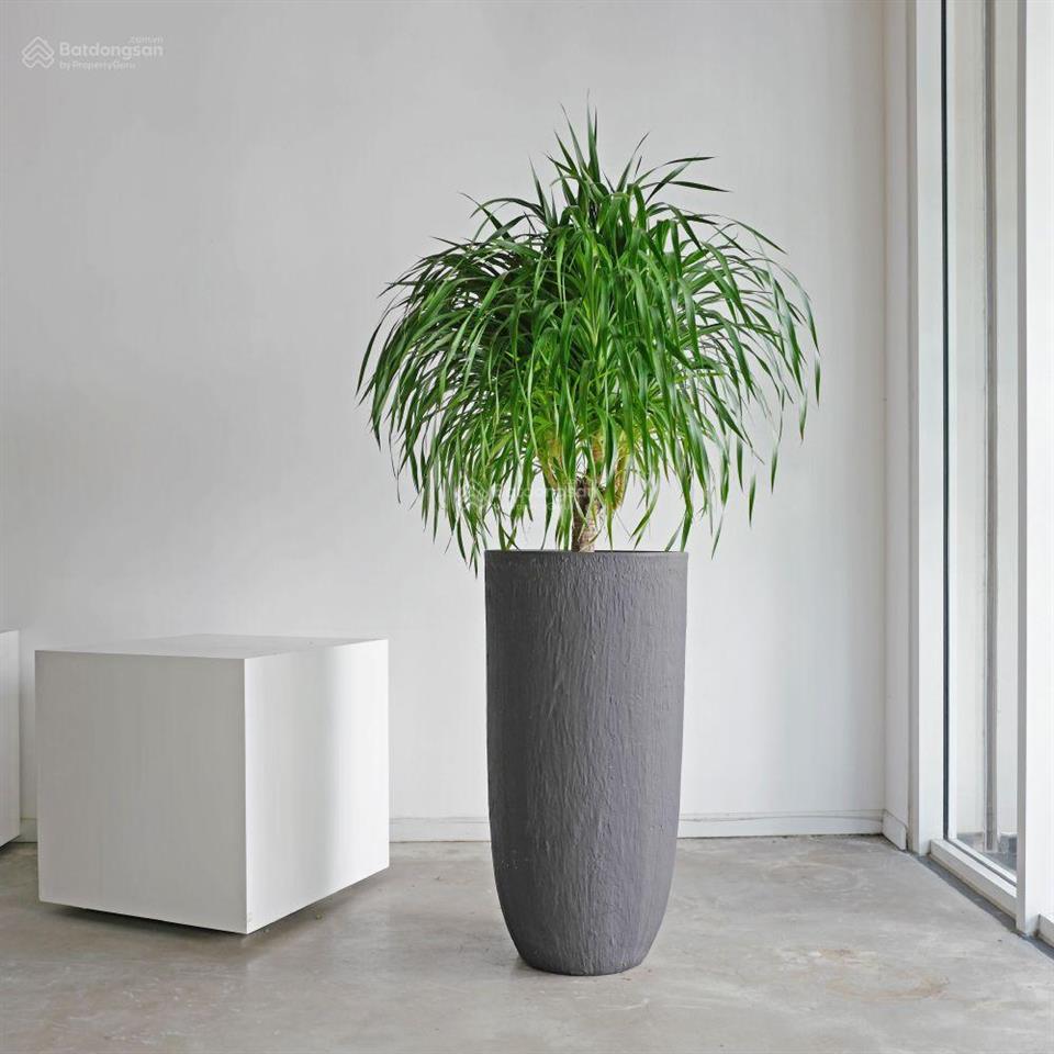 40 phòng full nội thất. chỉ 32 tỷ mt 8,5m ngay xô viết nghệ tĩnh. dài 25 cn 210m2. 7tầng. hdt 180tr
