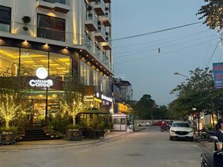 Bán đất thị trấn sóc sơn sát đường thành phố vệ tinh  vip  hiếm 99m giá 4,56ty  chủ thiện chi