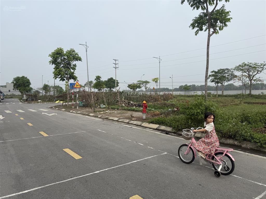 Đất trục chính hương đình siêu vip cơ hội đầu tư hiếm có 71m2 sát khu cn2, giá hơn 4tỷ  đường 12m