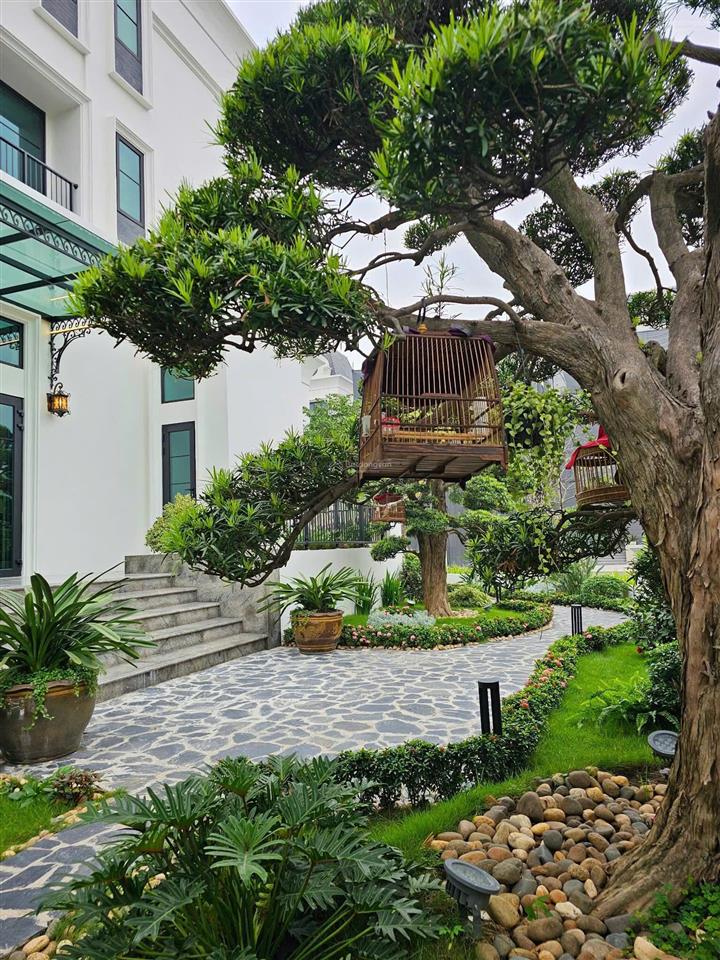 Bán biệt thự làng quốc tế thăng long mặt phố chùa hà dt 663m2 lô góc 3 mặt ô tô tránh đỗ giá 298 tỷ