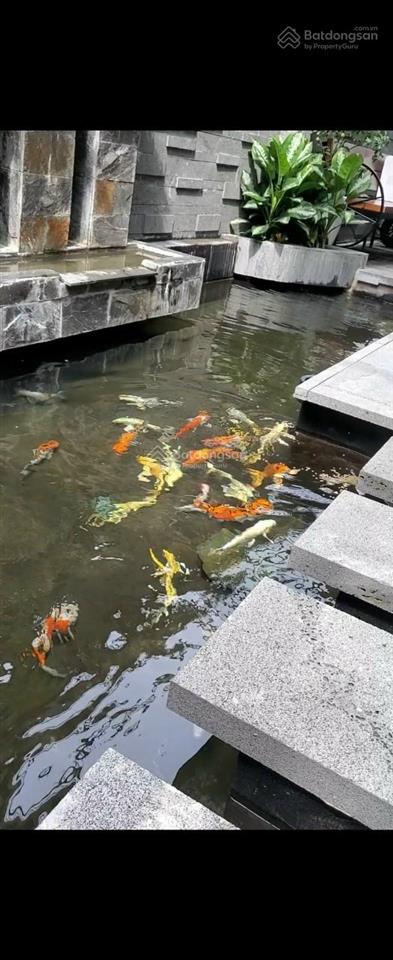 Siêu hiếm! biệt thự phố đặng thùy trâm  diện tích vàng 10x20m  nhà đẹp ở ngay  nhỉnh 28 tỷ