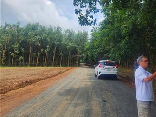 Cần bán gấp lô đất giáp kcn ngang 20x 52m hơn 1000m2 bán 350 triệu/1 lô bao sổ, có sỉ