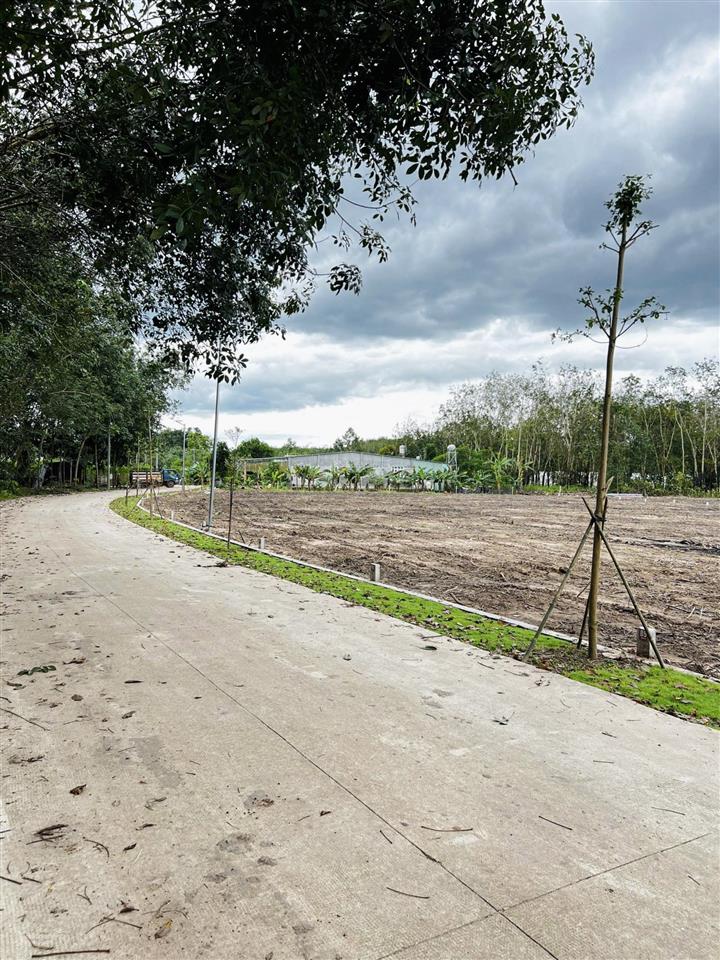 Đất nền ngang 8m chính chủ, 264m2 an linh giá 550tr  hcm dân cư đông đúc sau lưng chợ an linh