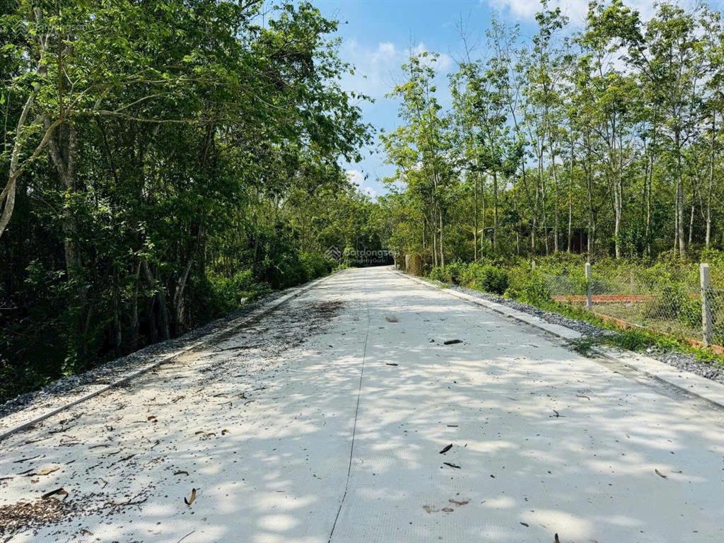Cần bán gấp lô đất thổ cư sau chợ an linh, diện tích 476m2 đúng giá 480tr tại phú giáo  bình dương