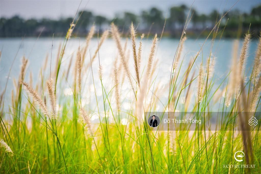 Chính thức nhận booking phân khu mùa lễ hội eco retreat long an  0902 247 ***