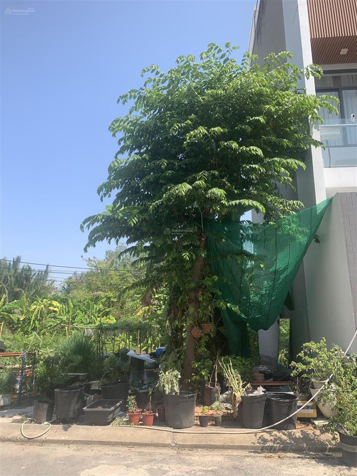 Bán đất nguyễn duy trinh p. long trường q9 giá 3,2 tỷ