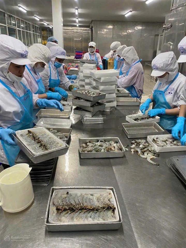 Cần chuyển nhượng nhà máy thủy sản xuất khẩu cà mau