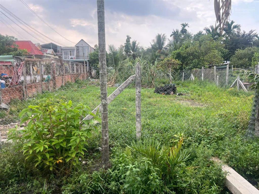 Hiếm có! bán đất 1 sẹc bùi công trừng, nhị bình, hóc môn dt 13x52m, giá chỉ 4,1 tỷ shr sẵn