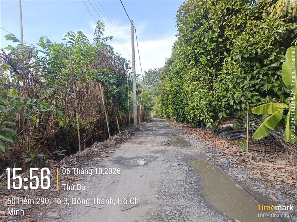Bán đất xã nhị bình  đông thạnh, hóc môn