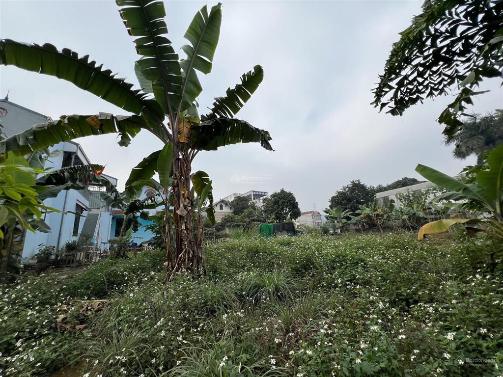 Chủ cần thanh khoản gấp lô đất 291m tại lương sơn , phú thọ