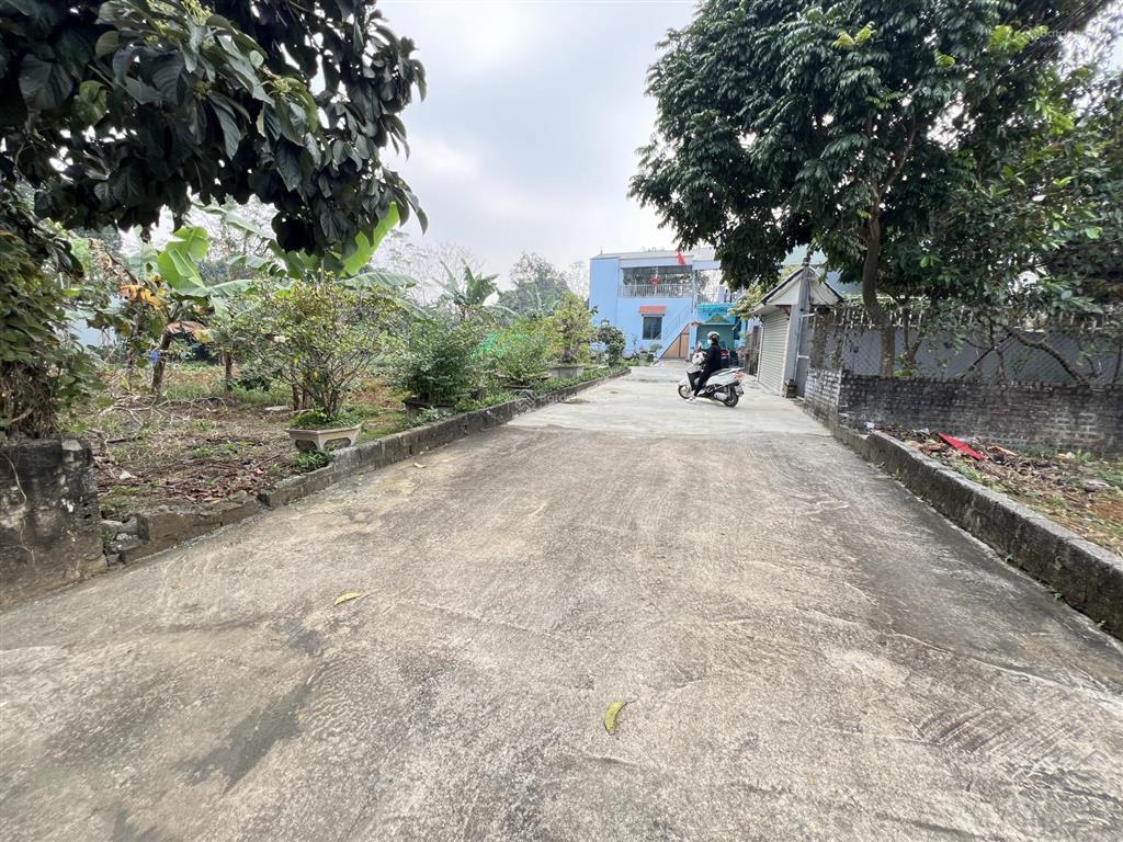 Chủ cần thanh khoản gấp lô đất 291m tại lương sơn , phú thọ