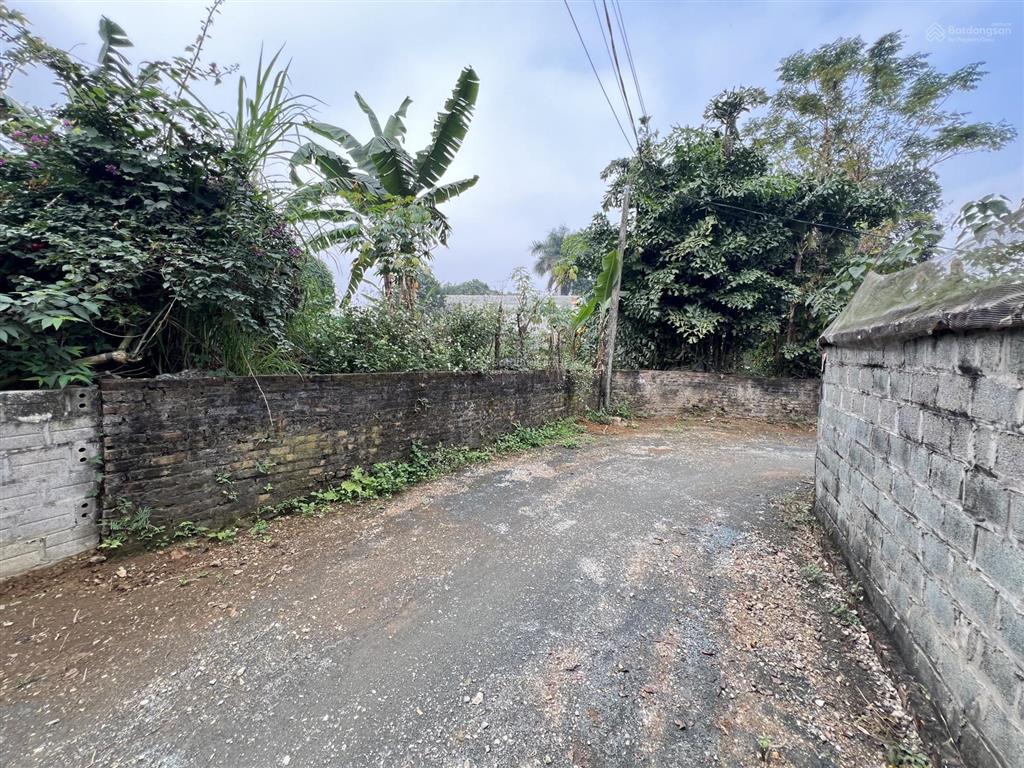 Chủ cần thanh khoản gấp lô đất 291m tại lương sơn , phú thọ