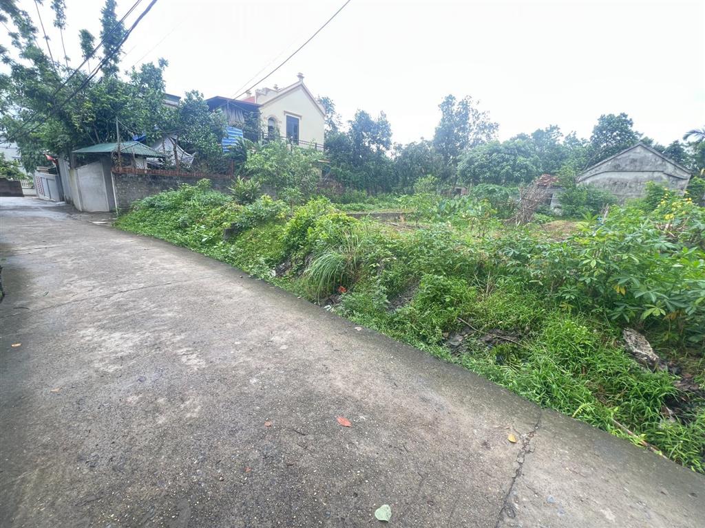 Hàng mới tinh 180m² tại đông sơn chương mỹ, mặt tiền 8,92m giá 22 tr/m2