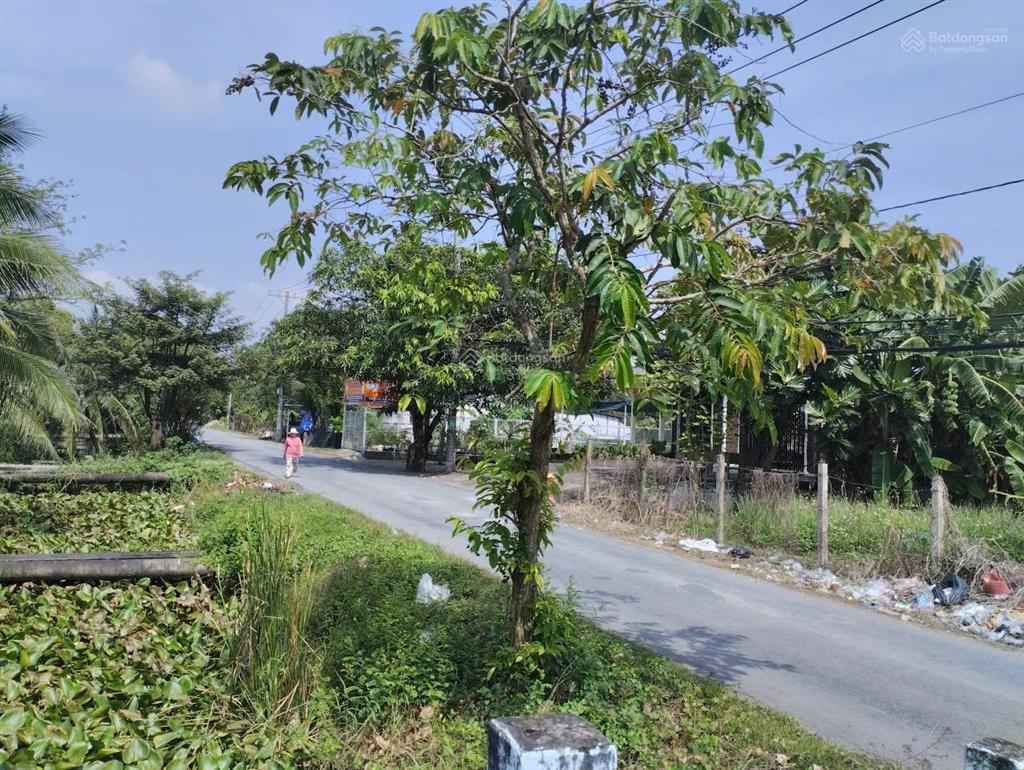 Bán đất bình chánh, tp. hồ chí minh 1.582m giá 31.5tỷ