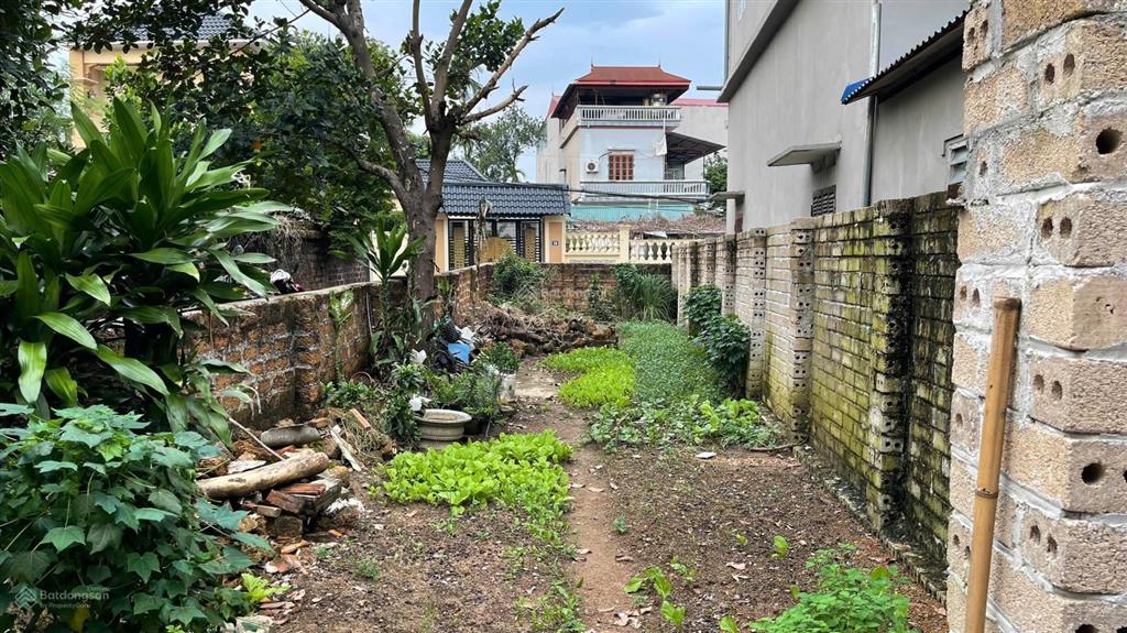 A158. siêu phẩm 3 mặt tiền  ngay trung tâm hòa lạc  vừa ở  vừa đầu tư  vừa khai tác dòng tiền