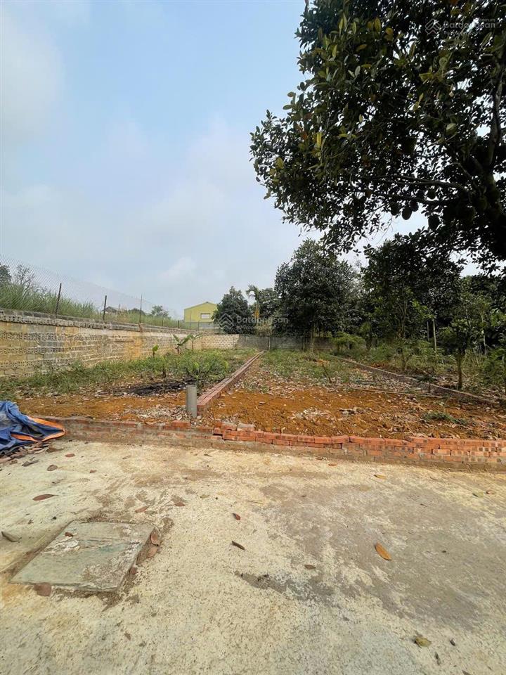 Bán đất tại xã phú cát, 3,1 tỷ, 115m2, hàng hot