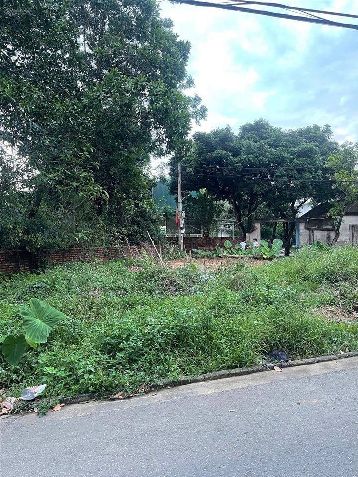 Bán đất tại xã phú cát, 3,1 tỷ, 115m2, hàng hot