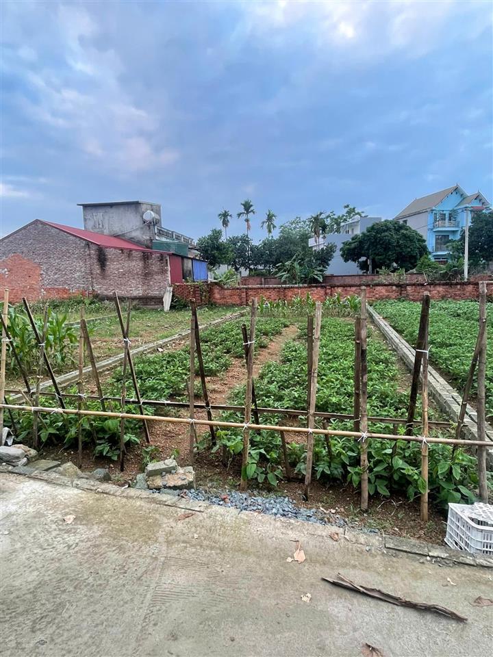 Bán đất tại xã phú cát, 3,1 tỷ, 115m2, hàng hot