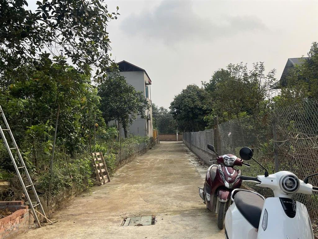 Đất nền thổ cư tại xã phú cát, quốc oai, hà nội giá ưu đãi 2,7 tỷ, 115m2 bao đẹp
