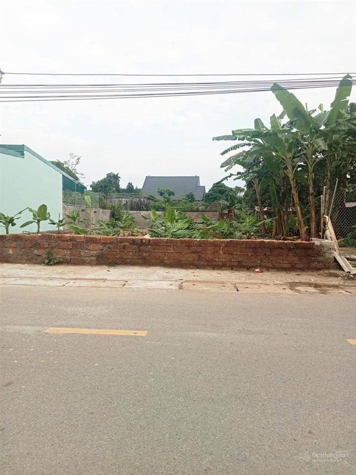 Đất cổ đông 103m² gần đhqg hòa lạc mt 5m, đường thông, giá 3.069 tỷ