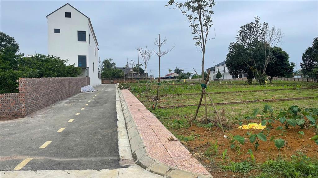 Trục chính phú cát 105,2m2 đất gần nhà máy in tiền, gần công nghệ cao, trụ sở hành chính