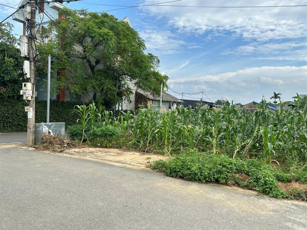 A396 bán đất thôn 3 phú cát  lô góc 2 mặt thoáng  gần đh gtvt & đh cmc