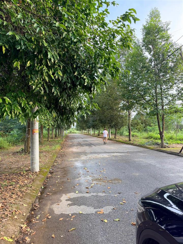 Hn. bán đất lô góc tđc đại học quốc gia hòa lạc 100m2 full thổ cư