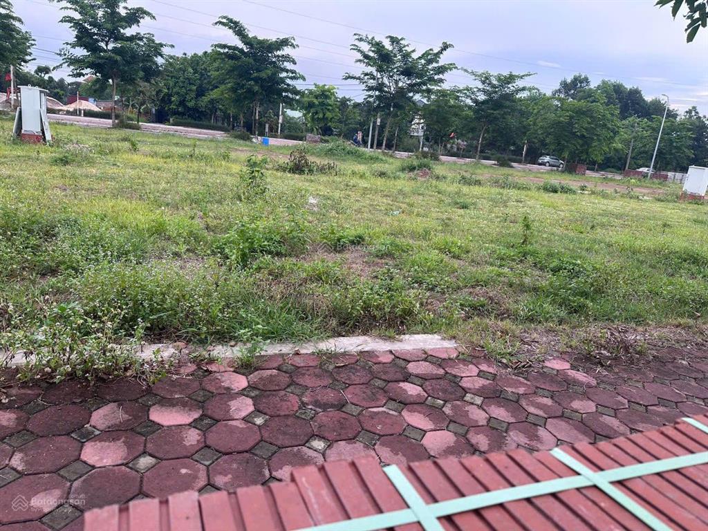 Hm. đất đấu giá tân xã 126,9m full thổ mặt tiền 9m hiếm có! an cư lý tưởng đầu tư tiềm năng