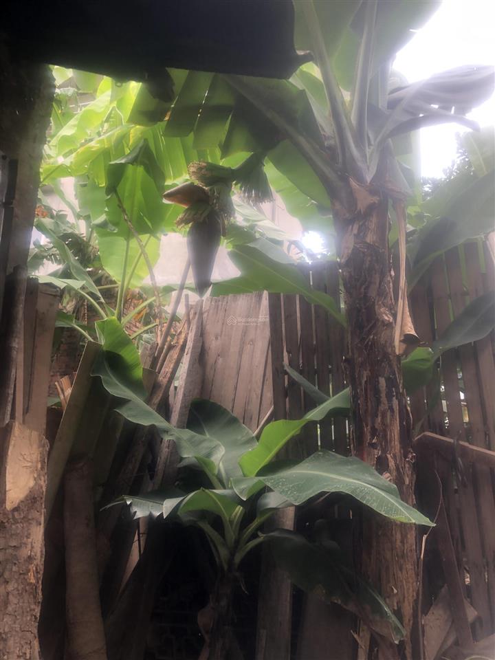Cần bán mảnh đất 201m, mt 18 mét chia được 4 lô, hàng của cô họ giá chỉ 35,5 tỷ gia lộc nhỏ thui ạ
