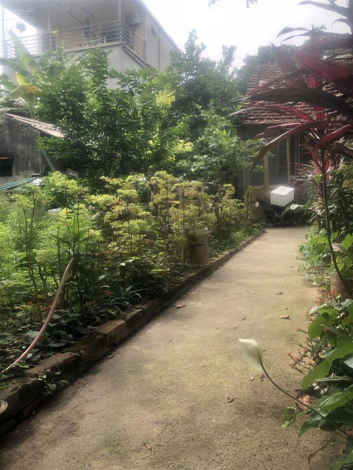 Cần bán mảnh đất 201m, mt 18 mét chia được 4 lô, hàng của cô họ giá chỉ 35,5 tỷ gia lộc nhỏ thui ạ