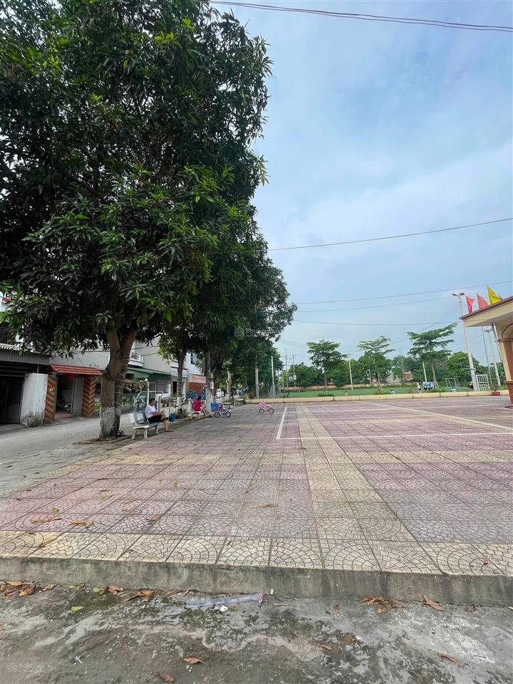 Bán đất diện tích rộng ngay hoàng minh đạo, dt 1.100 mét, mt 15 mét giá 220 tỷ vỉa hè, kinh doanh v