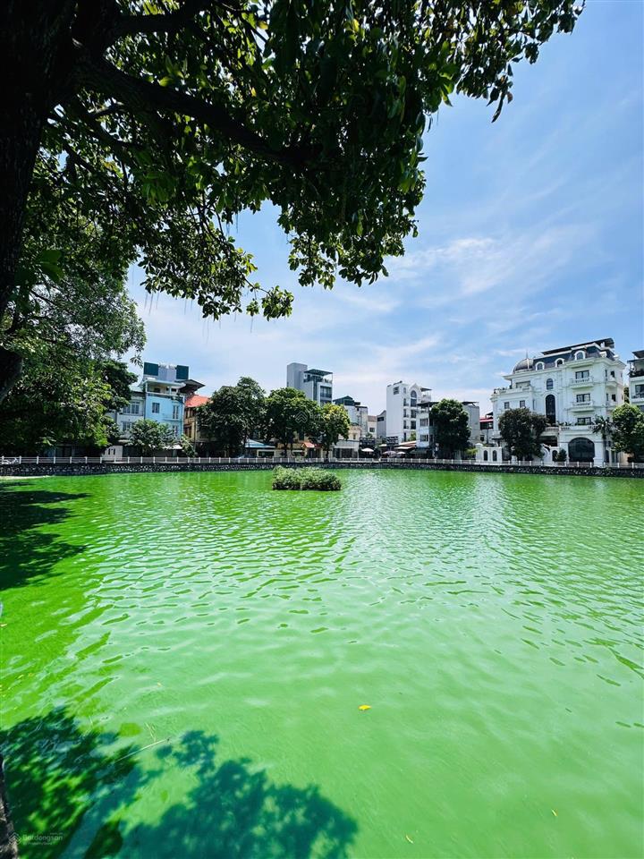 Bán đất bồ đề, view hồ mặt hồ bồ đề 230m  mt 11.3m giá đầu tư 380tr/m2
vị trí ngay gần trường