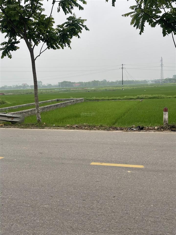 Bán đất chính chủ giá tốt đầu tư 1 tỷ 8xx vị trí thị trấn thắng hiệp hoà bắc giang (bắc ninh mới