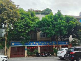 Siêu phẩm biệt thự vườn đào diện tích 236m2, mặt tiền 15m, giá 123 tỷ