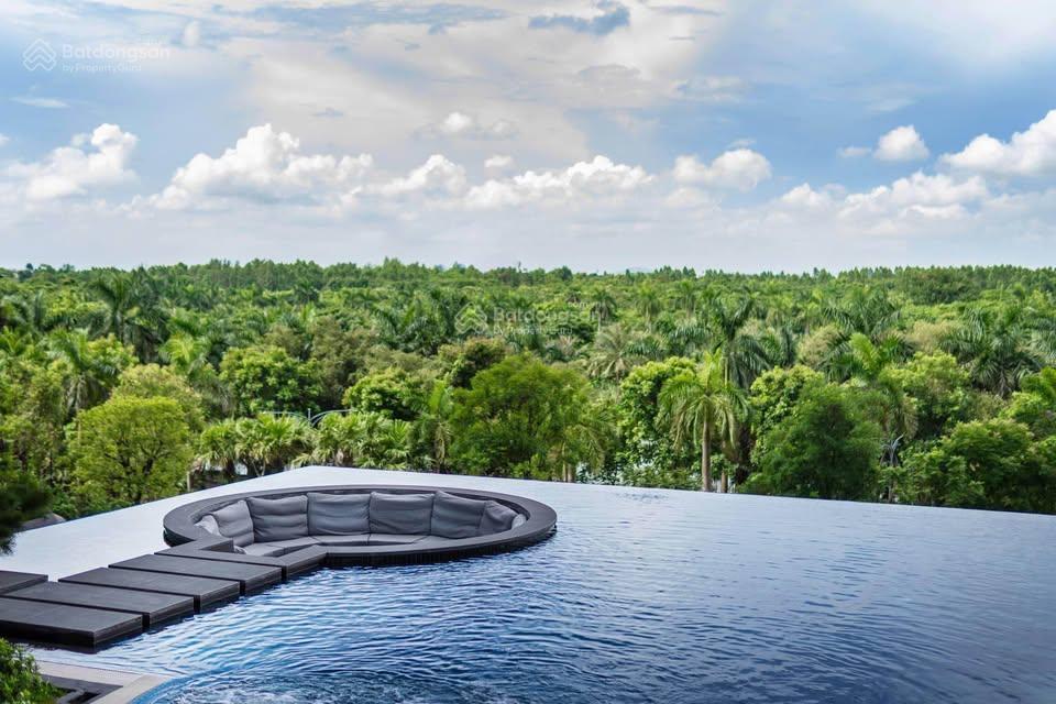 Mezza landmark view hồ thiên nga vườn nhật , nguyên bản tìm chủ mới