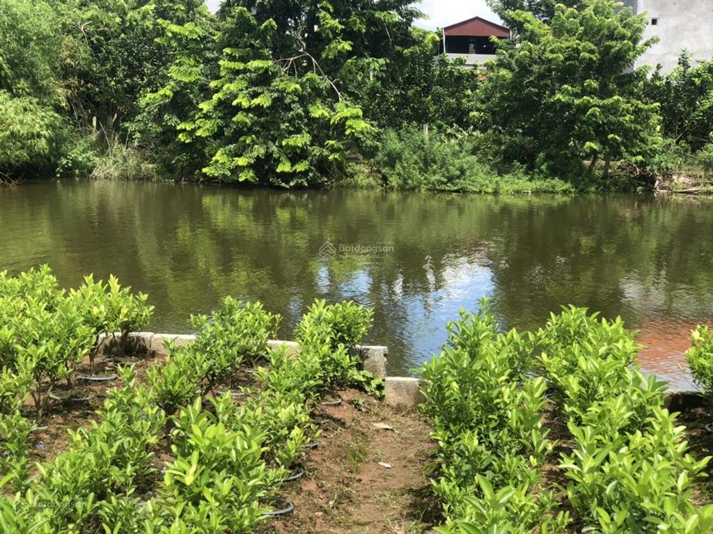 Bán đất thổ cư liên nghĩa văn giang gần vành đai 4
