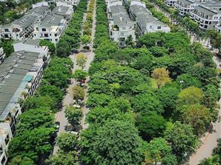 Bán nhà phố thủy nguyên, full nội thất kinh doanh sầm uất nhất ecopark