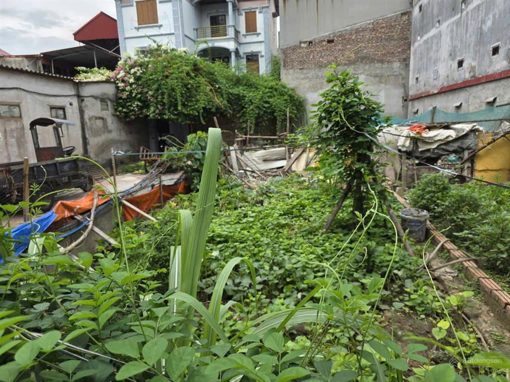 Bán đất phố rích gạo  61,4m² | ngõ thông  ô tô vào đất | gần kcn phù chẩn từ sơn  3,6 tỷ