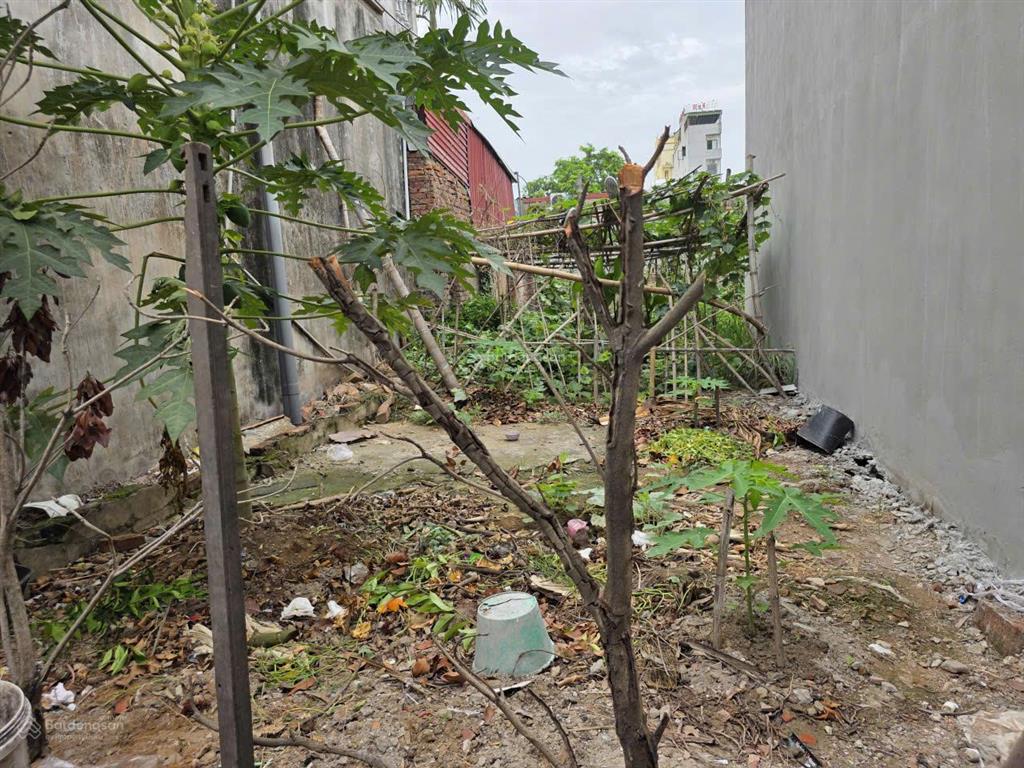 Bán đất phố doi sócphù chẩntừ sơn 42,2m²  ngõ ô tô tải vào đất  gần vsip  cao tốc  chỉ 2,75tỷ