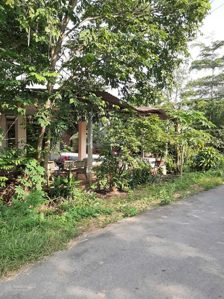 Chính chủ xả lỗ lô đất shr 500m đường nhựa 12m. xây biệt thự, nhà vườn.. ngay trường thái mỹ củ chi