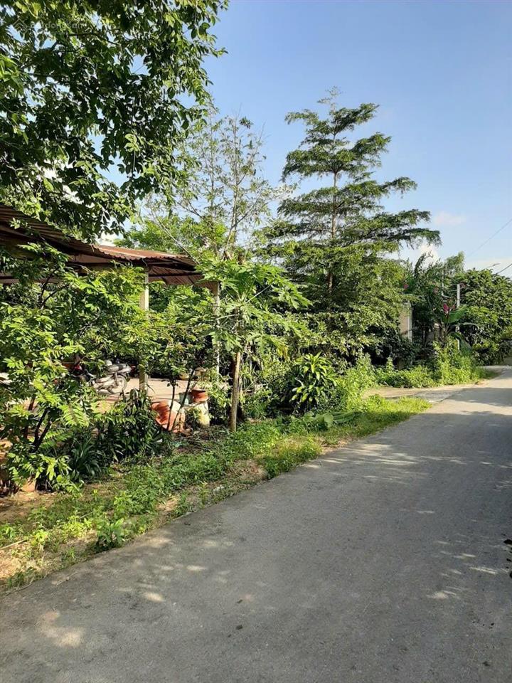 Chính chủ xả lỗ lô đất shr 500m đường nhựa 12m. xây biệt thự, nhà vườn.. ngay trường thái mỹ củ chi