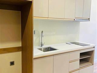 Rẻ nhất thị trường căn hộ cao cấp icon40 tiện ích 5* cách biển 300m bên cạnh tttm lottle